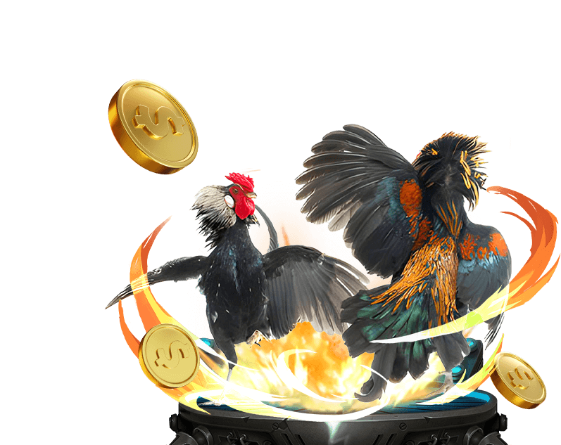 Hình ảnh cận cảnh một chiến kê dũng mãnh, sẵn sàng cho trận đấu tại New88