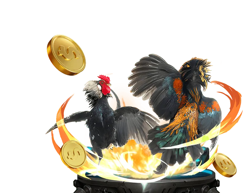 Hình ảnh cận cảnh một chiến kê dũng mãnh, sẵn sàng cho trận đấu tại New88