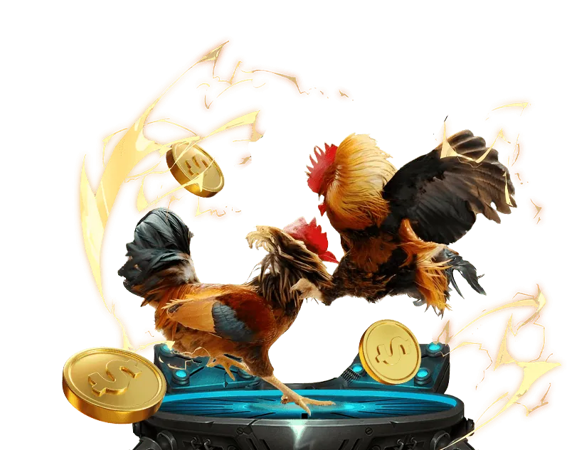 Hình ảnh sân đấu đá gà chuyên nghiệp tại New88 với khán giả và trọng tài